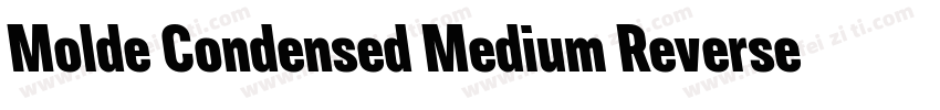 Molde Condensed Medium Reverse字体转换